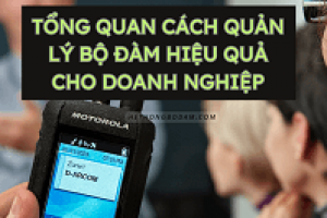 Hướng dẫn tổng thế cách quản lý máy bộ đàm hiệu quả cho doanh nghiệp